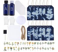 WEBEEDY Kit de Cyanotypie 50 pièces Kit Cyanotypie Papier Sun Print Comprend 50 étiquettes vierges,50 cordes en chanvre,2 composants sensibilisateurs,autocollants,pinceaux et instructions pour adultes