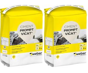 WEBER Ciment de prise rapide en milieux humides, 5kg, scellement urgent, réparations, rebouchage, PROMPT VICAT® (Lot de 2)