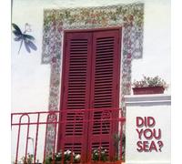 Did You See