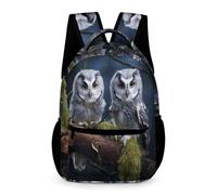 WECECE Cartable Scolaire En Chouette Pour Sixième Garçons Filles, Sac Thème Oiseau De Voyage, Sac À Dos Chouette Cadeaux De Retour À L'école