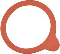 WECK Anneau de mise en conserve 10 pcs., rouge, pour verre renversé, ø 67 mm, ø 2 54 mm