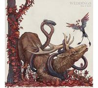 Weddings – Book of Spells – Vinyle – Broken Silence