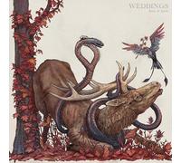 Weddings - Book of Spells