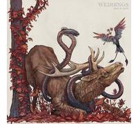 Weddings – Book of Spells – Vinyle – Broken Silence