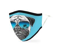 Weddingstar Masque en tissu lavable Tissu de protection réutilisable et réglable Couvercle avec poche pour filtre à poussière - carlin aux lunette à soleil