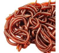 Wedhapy 60 pièces Faux vers Faux ver de Terre Faux Jouet en Plastique Souple Extensible réaliste vers de Terre simulés leurres de pêche appâts pour la décoration d'halloween