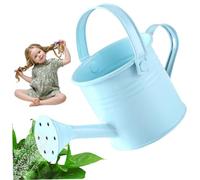 Wedhapy Arrosoir pour Tout-Petits Petit arrosoir pour Enfants 7,1x12,9 cm avec poignée arrosoir en métal antirouille arrosoir d'intérieur Portable pour Jardin Bleu Clair