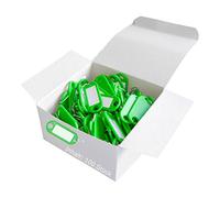 Wedo 262801800 Porte-clés plastique (avec anneau, interchangeables Étiquettes) Lot de 100 vert