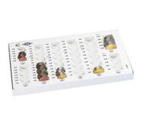 Wedo 160758037 Monnayeur avec fond en métal 268 x 165 x 35 mm Gris lumière