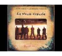 Wee Bee Foolish - Puttin in Work [Import]