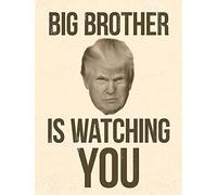 Wee Blue Coo Donald Trump Big Brother is Watching You George Orwell Wall Art Print Mur Décor 30 x 41 cm