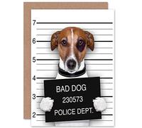 Wee Blue Coo Funny Jack Russell Bad Dog Mug Shot Birthday Sealed Greeting Card Plus Envelope Blank inside Marrant