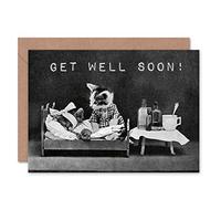 Wee Blue Coo GET WELL SOON LITTLE FOLK OF ANIMALS CAT ART BLANK GREETINGS CARD
