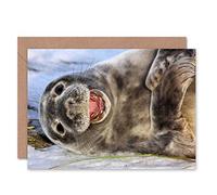 Wee Blue Coo GREETINGS CARD BIRTHDAY GIFT ANIMAL SEAL HAPPY CUTE