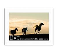 Wee Blue Coo Horses Live Like Someone Left GATE Open Quote Canvas Art Prints
