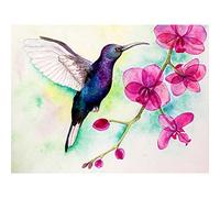 Wee Blue Coo Hummingbird and Orchid Art Print Poster Wall Decor Affiche Mur Déco