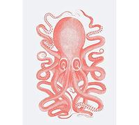 Wee Blue Coo Living Coral Octopus Unframed Art Print Poster Wall Decor 12x16 inch Affiche Mur Déco