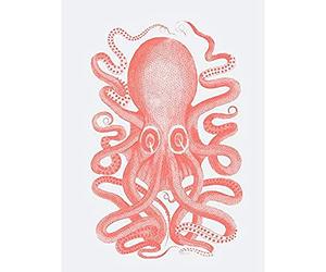 Wee Blue Coo Living Coral Octopus Unframed Art Print Poster Wall Decor 12x16 inch Affiche Mur Déco