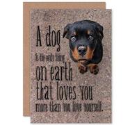 Wee Blue Coo NEW LOVE DOGS CUTE PUPPY ART GREETINGS GREETING CARD GIFT
