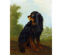 Wee Blue Coo PAINTING ANIMAL PORTRAIT OUDRY CAVALIER KING CHARLES SPANIEL ART PRINT HP1491
