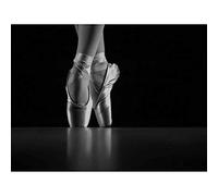 Wee Blue Coo Photo Dancing Dancer Ballerina Ballet Shoes Wall Art Print Mur Décor 30 x 41 cm