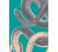 Wee Blue Coo Snake Illustration Modern Biodiversity Unframed Art Print Poster Wall Decor 12x16 inch Affiche Mur Dco