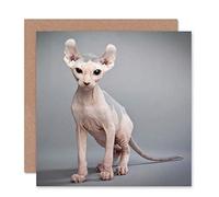 Wee Blue Coo Sphynx Cat Bald Birthday Art Sealed Greeting Card Plus Envelope Blank inside