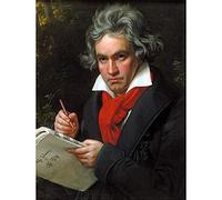 Wee Blue Coo Stieler Composer Ludwig Van Beethoven Wall Art Print Mur Décor 30 x 41 cm