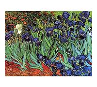 Wee Blue Coo Van Gogh Irises Unframed Wall Art Print Poster Home Decor Premium Mur Affiche Accueil Déco