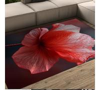 WEECHAINGE Grands Tapis Floraux Rouges 100x150cm Magnifiques Fleurs Moquette d’Art Moderne Moquette Douce et Confortable Lavable pour la Chambre à côté buanderie Chambre d’Amis