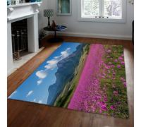 WEECHAINGE Tapis Floral Vibrant 100x150cm Magnifique Paysage extérieur à Motif Champ de Fleurs Paillasson de Porte Tapis Lavable à Poil Bas pour Balcon Porche entrée dans Le Jardin arrière