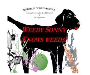 Weedy Sonny Knows Weeds!: Learning By Association II