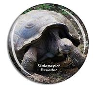 Weekino Equateur Tortue Géant Galapagos Turtle Islands Aimant de réfrigérateur 3D Verre Cristal Touristique Ville Voyage Souvenir Autocollant de réfrigérateur Collection