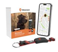 Weenect Chien XT - Collier GPS pour Chien | Abonnement requis | Une position par seconde • Antenne XL • 3 semaines d'autonomie • Alerte anti-fugue < 1 min • Waterproof • Collier JK9