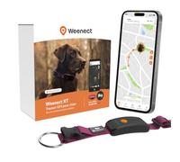 Weenect Chien XT - Collier GPS pour Chien | Abonnement requis | Une position par seconde • Antenne XL • 3 semaines d'autonomie • Alerte anti-fugue < 1 min • Waterproof • Collier JK9