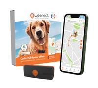 Traceur GPS pour Chien - Weenect XS (Black Edition 2023)