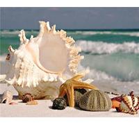 WEEPEF Coquillages Mer Diamond Painting, DIY Diamant Painting Broderie Diamant Kit Complet, 40x50cm Peinture Diamant Adulte Point de Croix Tableau Perle Diamant Art pour Maison Décoration W-12252