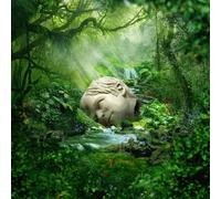 Weezer - Sznz:Spring [Import]