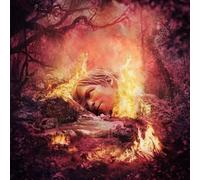 Weezer - Sznz:Summer [Import]