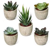 WEFHEF 5 Pcs Mini Plantes Succulente Artificielles, Plante Grasse Plastique Intérieur, Petite Plante Artificielle à 5 Motifs, Plantes Grasse Artificielles Moderne, pour Décoration Bureau Maison Jardin
