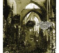 Weg Einer Freiheit,der - Agonie-Silver Vinyl Repress 2021