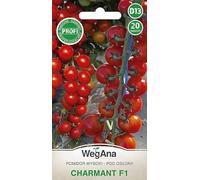 WegAna Tomates Charmant (F1) 20 graines Graines de tomates Graines de légumes robustes, graines de légumes Semences de culture pour la serre Jardin