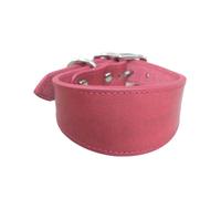 Wegiwuca Collier large rembourré en cuir véritable pour lévriers italiens