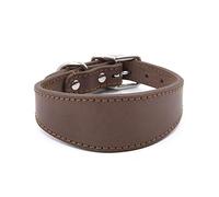 Wegiwuca Collier rembourré large pour chien en cuir véritable colliers pour chiots pour lévriers italiens accessoires confortables pour chiens de compagnie