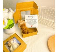 WEGJYKY Inquiétude de l'ours dans Une boîte, 1 Set Mini inquiète Ours avec Une Carte inspirante, Cadeau de sympathie pour Noël et la Saint-Valentin, Accessoires de Bureau (4pcs)