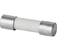 Weidmüller 0430700000 G 20/1.00A/F Micro-fusible Contenu 10 pc(s)