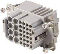 Weidmüller 1023270000 Insert femelle RockStar® HDC 8 + 24 + PE à sertir 1 pc(s)