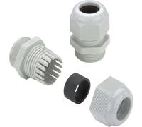 Weidmüller 1909870000 Presse-étoupe M25 Polyamide gris 50 pc(s)
