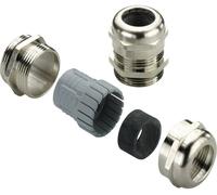 Weidmüller 1909940000 Presse-étoupe M40 laiton 10 pc(s)