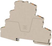 Weidmüller 2434370000 Bloc de jonction traversant à 3 étages 6.10 mm Push-In, enfichable beige foncé 50 pc(s)